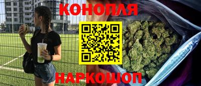 крисы Беслан