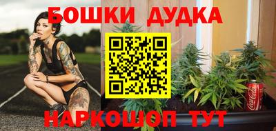 крисы Беслан