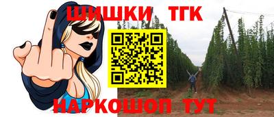 крисы Беслан