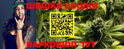 крисы Беслан