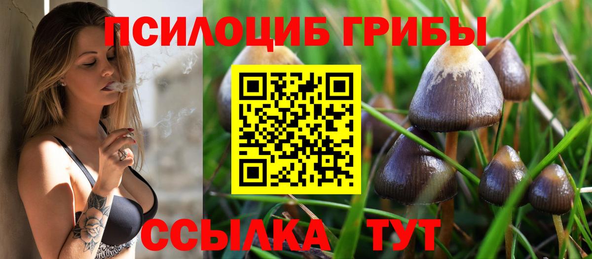 Псилоцибиновые грибы мицелий  Вход с VPN  Балабаново  Псилоцибиновые грибы мицелий 