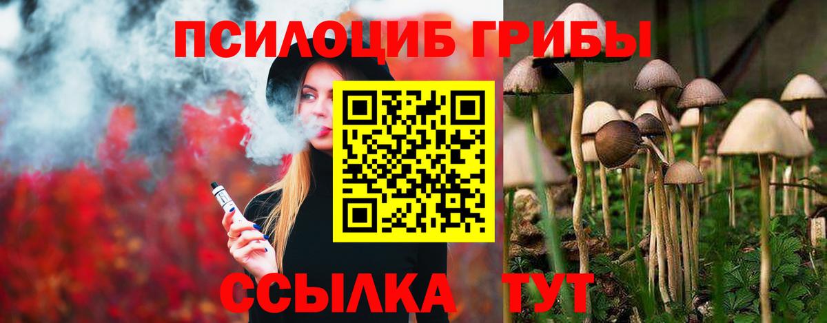 Псилоцибиновые грибы прущие грибы Балабаново